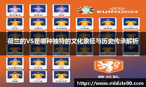 荷兰的VS是哪种独特的文化象征与历史传承解析